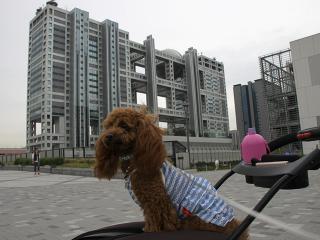 20130501_26.jpg