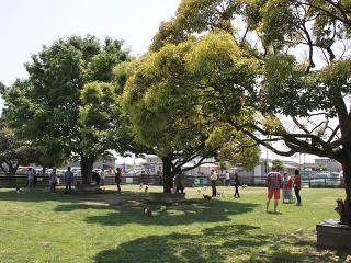 20130504_04.jpg