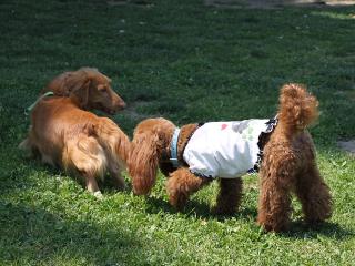 20130504_07.jpg