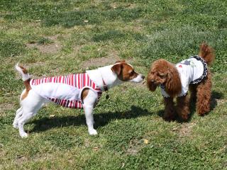 20130504_08.jpg