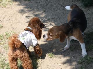 20130504_09.jpg