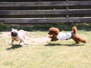 20130504_11.jpg