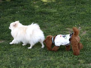 20130504_12.jpg