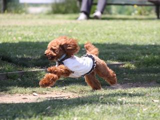 20130504_13.jpg