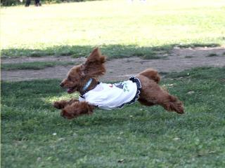 20130504_14.jpg
