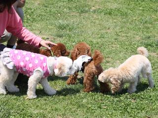20130504_16.jpg