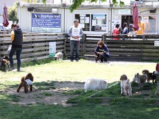 20130504_17.jpg