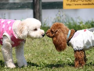 20130504_19.jpg