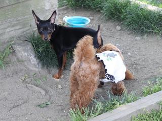 20130504_23.jpg