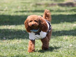 20130504_25.jpg