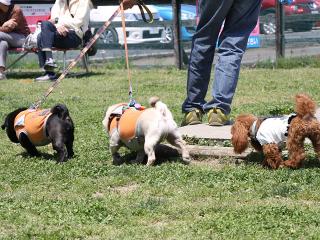 20130504_26.jpg