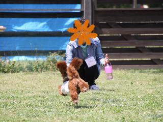 20130504_27.jpg