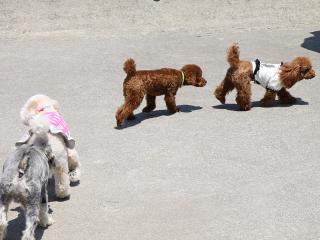 20130504_28.jpg