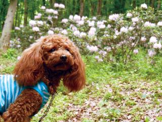 20130504_31.jpg