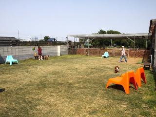 20130505_01.jpg