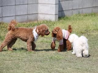20130505_02.jpg