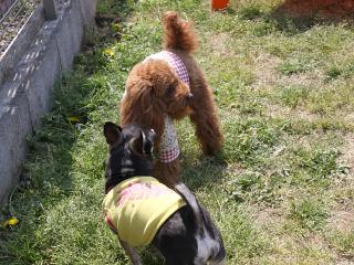 20130505_04.jpg
