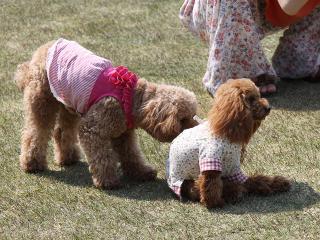 20130505_05.jpg