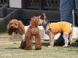 20130505_07.jpg