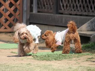 20130505_09.jpg