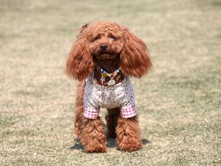 20130505_10.jpg