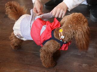 20130505_13.jpg