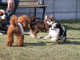 20130505_15.jpg