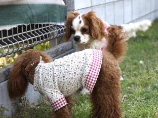 20130505_16.jpg