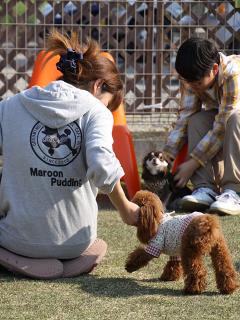 20130505_19.jpg