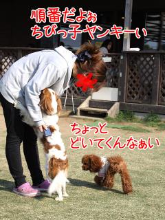 20130505_20.jpg