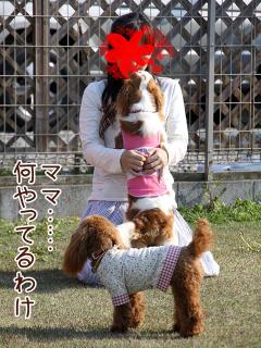 20130505_21.jpg