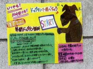 20130505_26.jpg