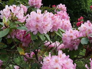 20130505_27.jpg