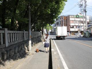 20130523_12.jpg