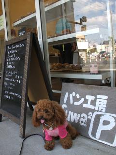 20130523_19.jpg