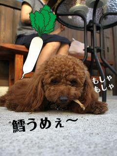 20130523_28.jpg