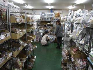 20130524_04.jpg