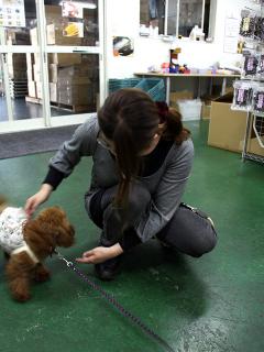 20130524_05.jpg