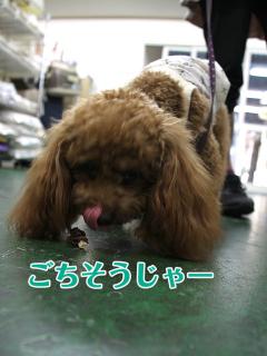 20130524_06.jpg