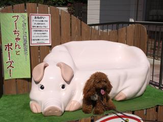 20130524_09.jpg