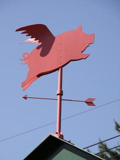 20130524_11.jpg