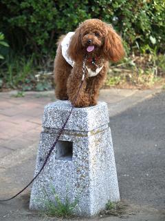 20130524_17.jpg