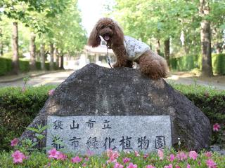 20130524_18.jpg