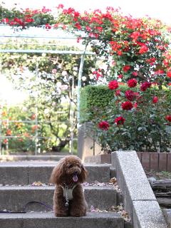 20130524_20.jpg