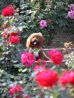 20130524_21.jpg