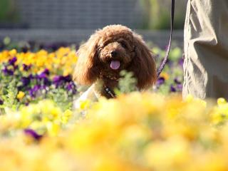 20130524_22.jpg