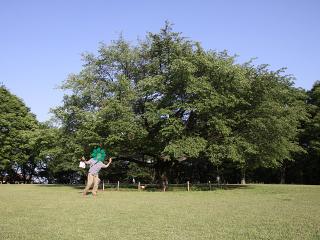 20130524_23.jpg