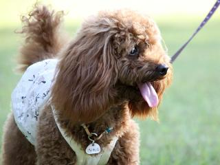 20130524_25.jpg
