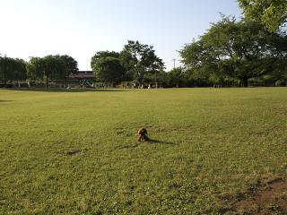 20130524_26.jpg