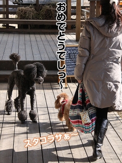 20140118_02.jpg